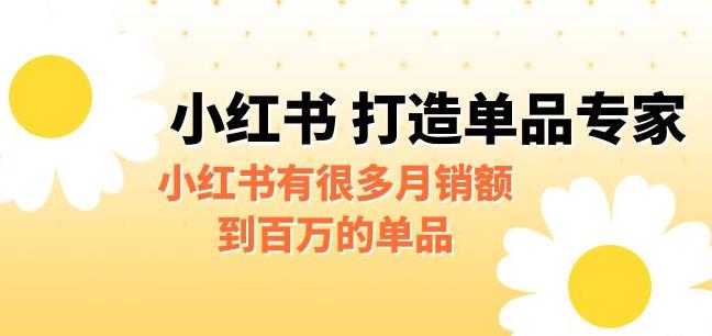 4911-20230713-某公众号付费文章《小红书打造单品专家》小红书有很多月销额到百万的单品