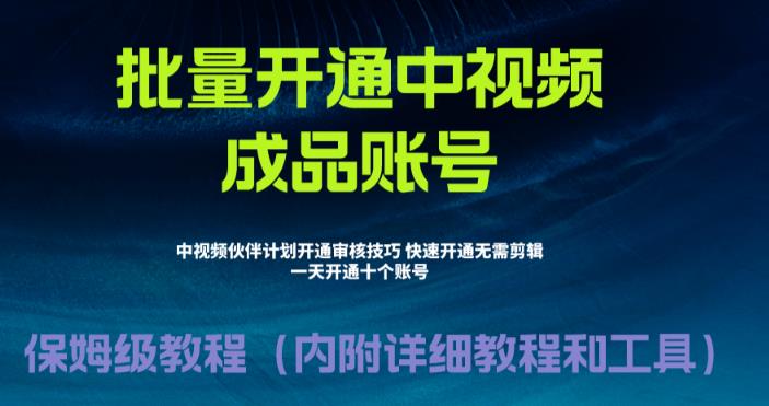 （6561期）暴力开通中视频计划⭐（6561期）外面收费1980暴力开通中视频计划教程，附 快速通过中视频伙伴计划的办法