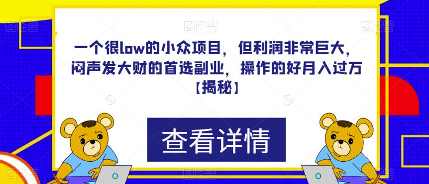 5014-20230719-一个很low的小众项目，但利润非常巨大，闷声发大财的首选副业，操作的好月入过万【揭秘】