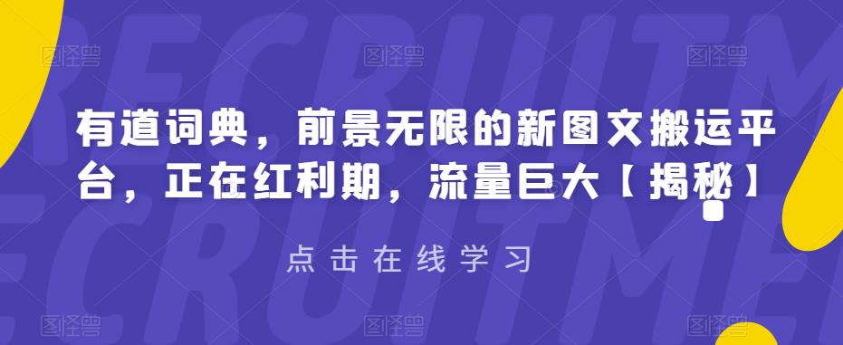 5041-20230720-有道词典，前景无限的新图文搬运平台，正在红利期，流量巨大【揭秘】】