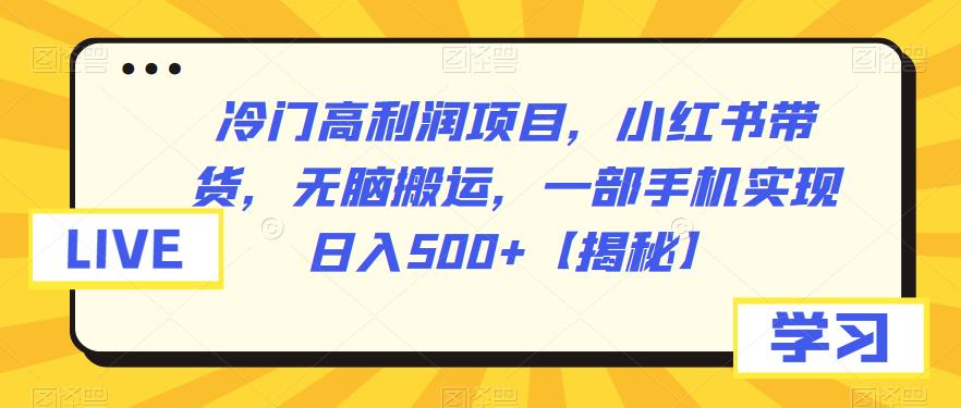 5075-20230722-冷门高利润项目，小红书带货，无脑搬运，一部手机实现日入500+【揭秘】