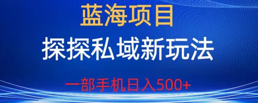 5101-20230723-蓝海项目，探探私域新玩法，一部手机日入500+很轻松【揭秘】