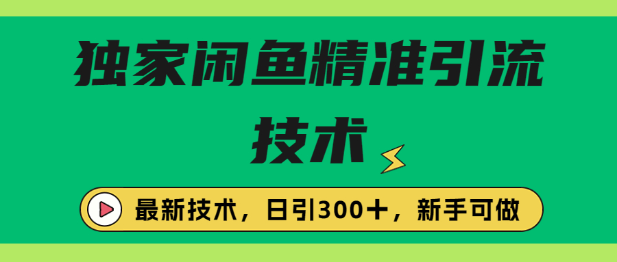 独家闲鱼精准引流日引300＋技术⭐（6635期）独家闲鱼引流技术，日引300＋实战玩法