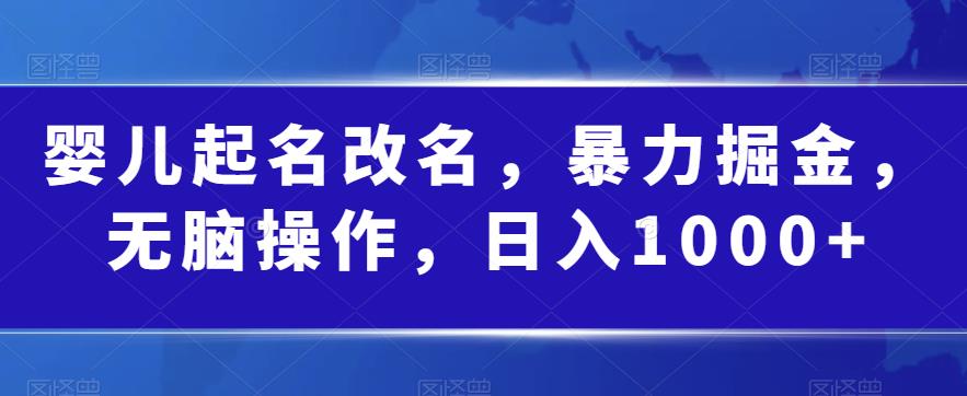 5153-20230725-婴儿起名改名，暴力掘金，无脑操作，日入1000+【揭秘】