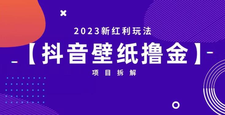 5194-20230727-抖音壁纸小程序创作者撸金项目，2023新红利玩法【项目拆解】