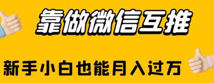 5195-20230727-靠做微信互推，新手小白也能月入过万【揭秘】