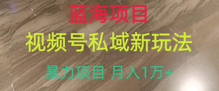 5235-20230729-蓝海项目，视频号私域新玩法，暴力项目月入1万+【揭秘】