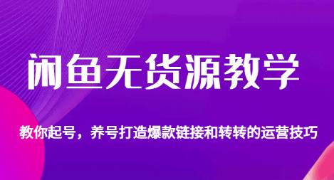 5394-20230804-闲鱼无货源教学，教你起号，养号打造爆款链接以及转转的运营技巧