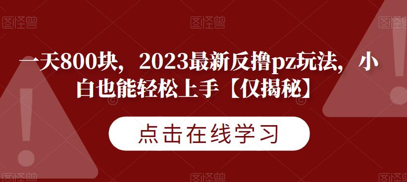 5610-20230808-一天800块，2023最新反撸pz玩法，小白也能轻松上手【仅揭秘】