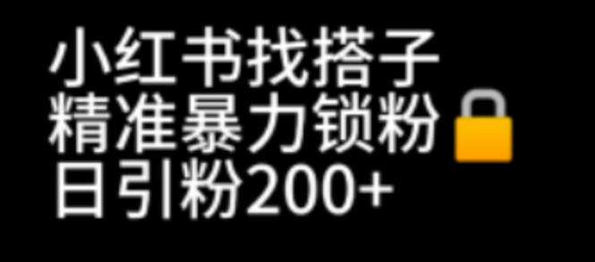 5641-20230810-小红书找搭子暴力精准锁粉+引流日引200+精准粉