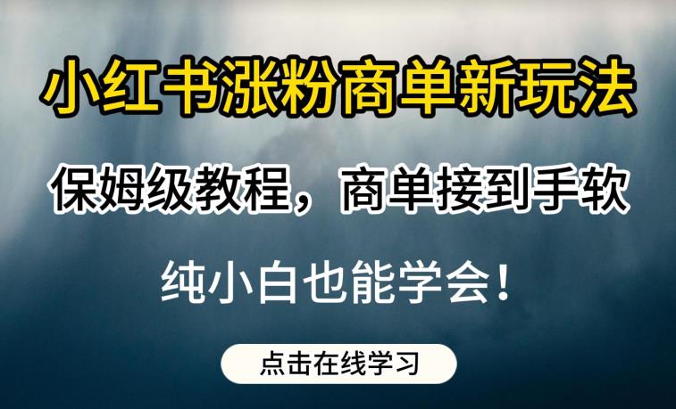 5651-20230810-小红书涨粉商单新玩法，保姆级教程，商单接到手软，纯小白也能学会【揭秘】