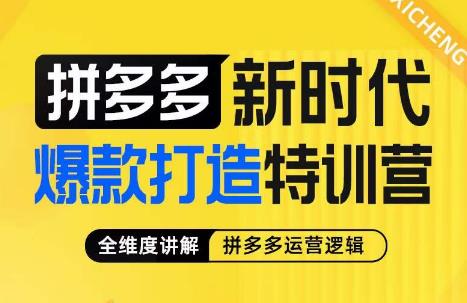 5666-20230811-玺承·拼多多新时代爆款打造特训营，全维度讲解拼多多运营逻辑