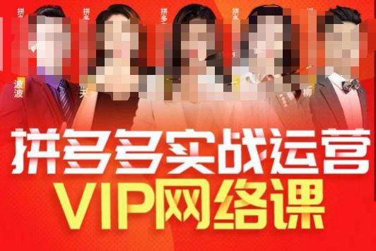 5668-20230811-推易拼多多VIP全套直播课程，拼多多店铺实操玩法+实战玩法选款内功+直通车高阶等