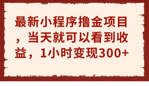 5791-20230815-最新小程序撸金项目，当天就可以看到收益，1小时变现300+【揭秘】