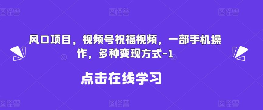 5795-20230815-新风口项目，视频号祝福视频，一部手机操作，多种变现方式【揭秘】