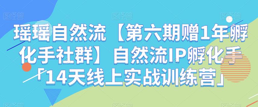 5813-20230817-瑶瑶自然流【第六期赠1年孵化手社群】自然流IP孵化手「14天线上实战训练营」