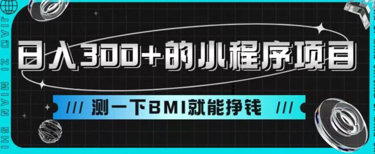 5816-20230817-日入300+的小程序项目，测一下BMI就能挣钱【揭秘】