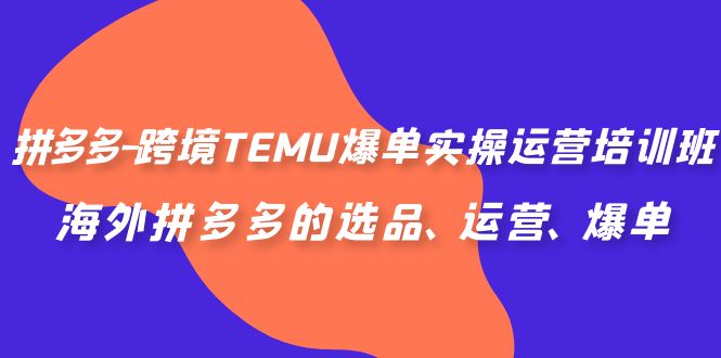 （6934期）跨境电商（跨境多多、海外版多多）实操教学⭐（6934期）拼多多-跨境TEMU爆单实操运营培训班，海外拼多多的选品、运营、爆单