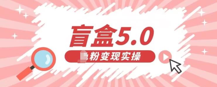 5895-20230820-盲盒交友5.0，男粉变现实操项目，亲测变现效果极好【揭秘】