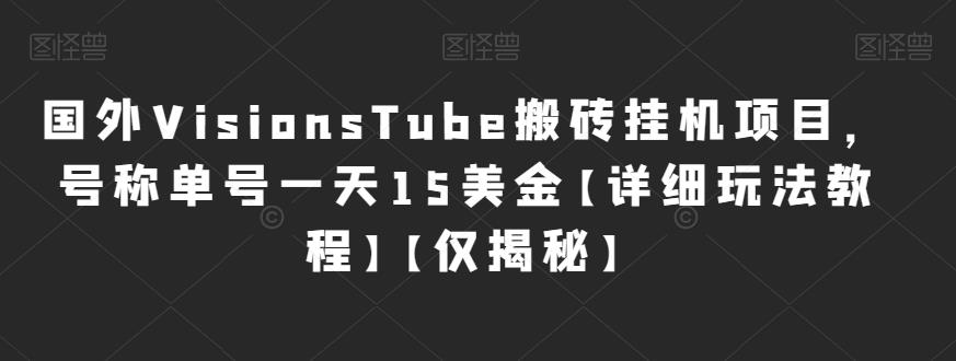 6110-20230830-国外VisionsTube搬砖挂机项目，号称单号一天15美金【详细玩法教程】【仅揭秘】