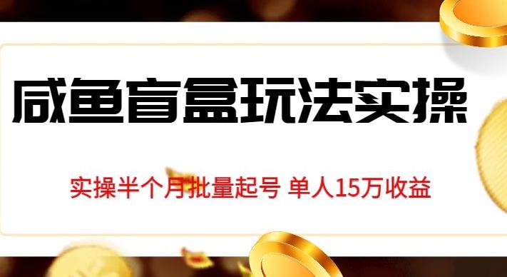 6115-20230830-独家首发咸鱼盲盒玩法实操，半个月批量起号单人15万收益【揭秘】