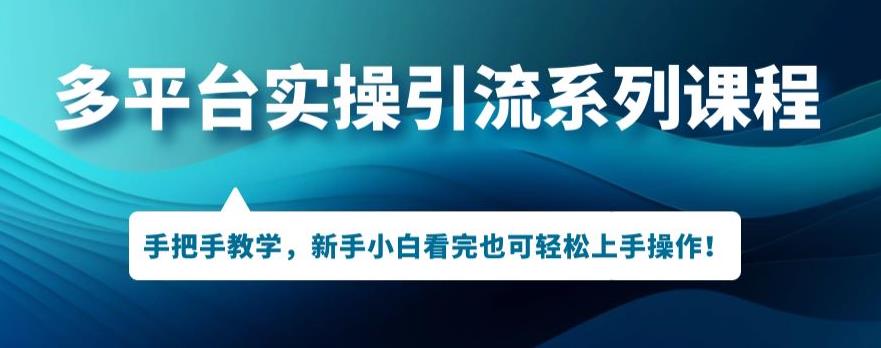 6465-20230908-多平台引流实操系列课程，新手小白看完也可轻松上手进行引流操作