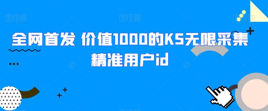 6449-20230908-全网首发 价值1000的KS无限采集精准用户id