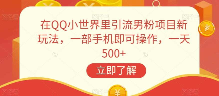 6519-20230910-在QQ小世界里引流男粉项目新玩法，一部手机即可操作，一天500+【揭秘】