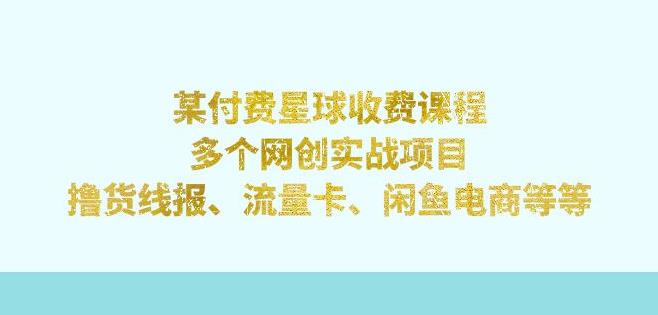 6548-20230911-某付费星球课程：多个网创实战项目，撸货线报、流量卡、闲鱼电商等（文档非视频）