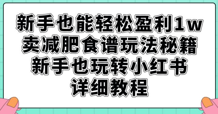 6633-20230914-新手也能轻松盈利1w，卖减肥食谱玩法秘籍，新手也玩转小红书详细教程【揭秘】