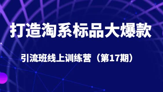 6636-20230914-打造淘系标品大爆款引流班线上训练营（第17期）5天直播授课