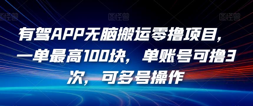 6753-20230917-有驾APP无脑搬运零撸项目，一单最高100块，单账号可撸3次，可多号操作【揭秘】