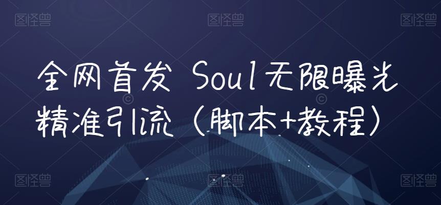 6761-20230917-全网首发 Soul无限曝光精准引流（脚本+教程）