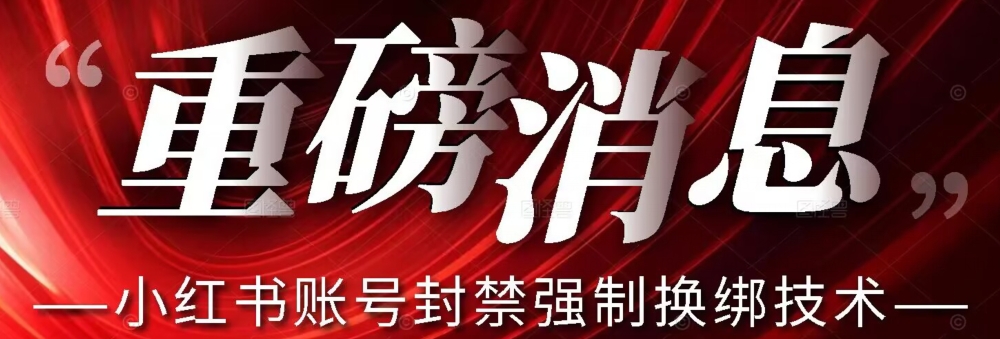 6979-20230924-【最新】小红书账号封禁强制换绑技术可日赚300