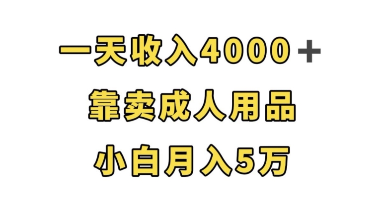 7115-20230929-一天收入4000+，靠卖成人用品，小白轻松月入5万【揭秘】