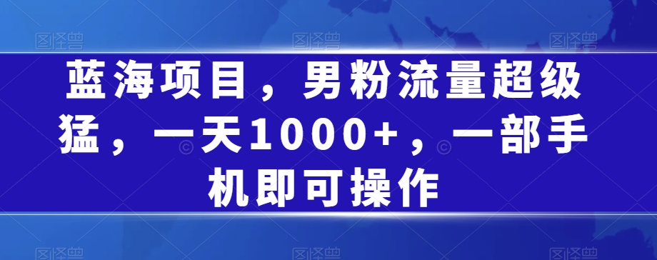 7308-20231008-蓝海项目，男粉流量超级猛，一天1000+，一部手机即可操作【揭秘】