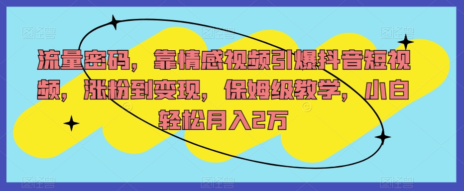 7561-20231016-流量密码，靠情感视频引爆抖音短视频，涨粉到变现，保姆级教学，小白轻松月入2万【揭秘】