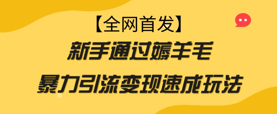 7663-20231020-【全网首发】新手通过薅羊毛暴力引流变现速成玩法