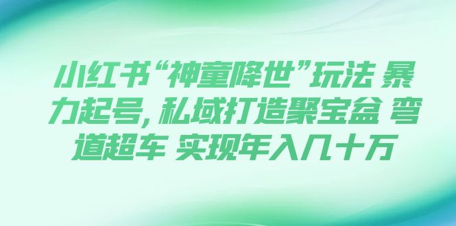 小红书“神童降世”玩法，暴力起号,私域打造聚宝盆，弯道超车，0基础玩转育婴法则，实现年入几十万⭐（7673期）小红书“神童降世”玩法 暴力起号,私域打造聚宝盆 弯道超车 实现年入几十万