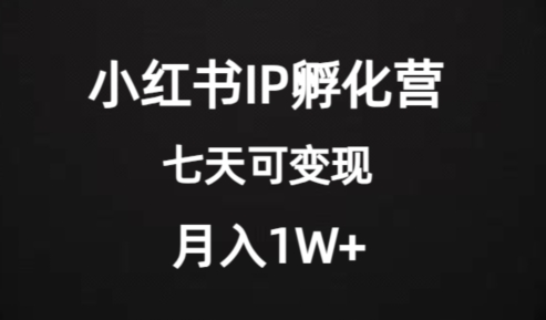 7904-20231030-价值2000+的小红书孵化营项目，超级大蓝海，七天即可开始变现，稳定月入1W+⭐价值2000+的小红书IP孵化营项目，超级大蓝海，七天即可开始变现，稳定月入1W+