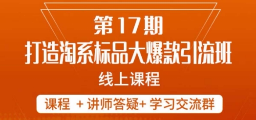 7915-20231031-南掌柜-第17期打造淘系标品大爆款，5天线上课