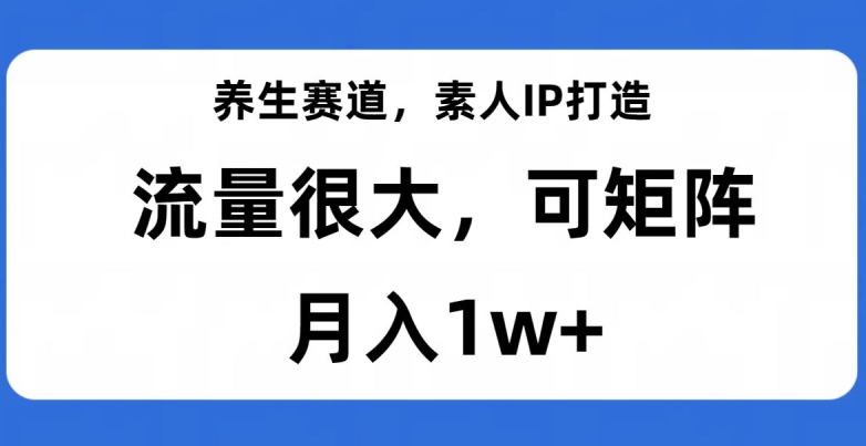 7924-20231031-养生赛道，素人IP打造，流量很大，可矩阵，月入1w+【揭秘】