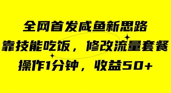 8025-20231104-咸鱼冷门新玩法，靠“技能吃饭”，修改流量套餐，操作1分钟，收益50【揭秘】