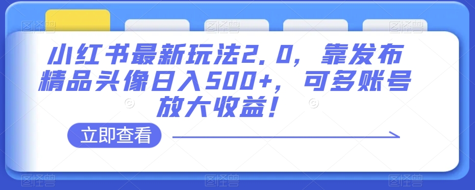 8031-20231104-小红书最新玩法2.0，靠发布精品头像日入500+，可多账号放大收益！【揭秘】【