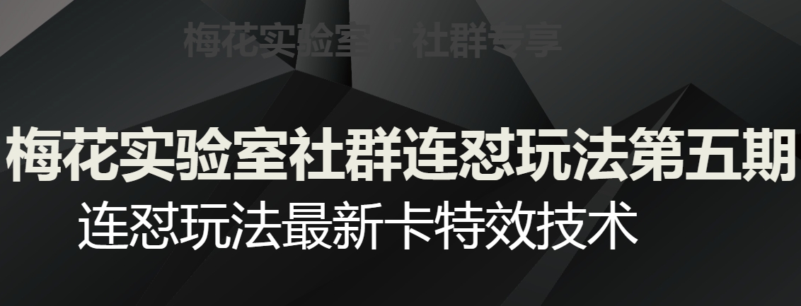 8045-20231105-梅花实验室社群连怼玩法第五期，视频号连怼玩法最新卡特效技术