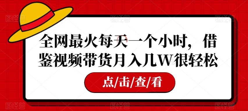 8195-20231115-全网最火每天一个小时，借鉴视频带货月入几W很轻松【揭秘】