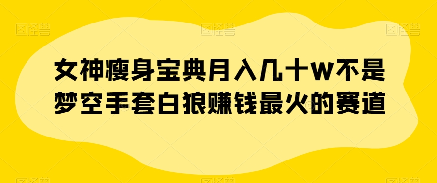 8213-20231117-女神瘦身宝典月入几十W不是梦空手套白狼赚钱最火的赛道【揭秘】