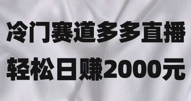 8316-20231123-冷门赛道拼多多直播，简单念稿子，日收益2000＋【揭秘】