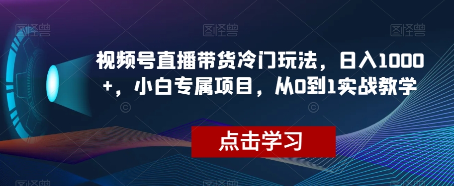 8548-20231127-视频号直播带货冷门玩法，日入1000+，小白专属项目，从0到1实战教学【揭秘】