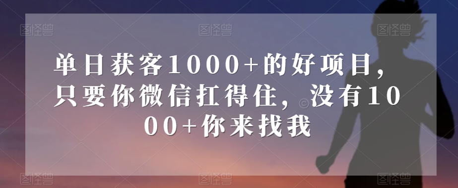 8559-20231127-单日获客1000+的好项目，只要你微信扛得住，没有1000+你来找我【揭秘】